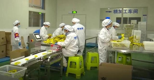 「一防兩不停 確保開門紅」望謨:加班加點趕制特色年貨 銷售食品